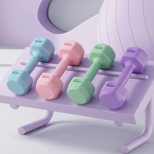 Dumbbells – Slim Portable Set